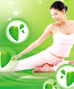 Collection of VIP Arab beauty care cosmetics manufacturing suppliers, high quality cosmetics and certified ISO 9001 process antiage creams collection, skin care products, body creams for day and night treatment. Arab cosmetics manufacturing vendors to the USA wholesale suppliers, European distributors, Latin America vendors and business to business skin care companies in the world