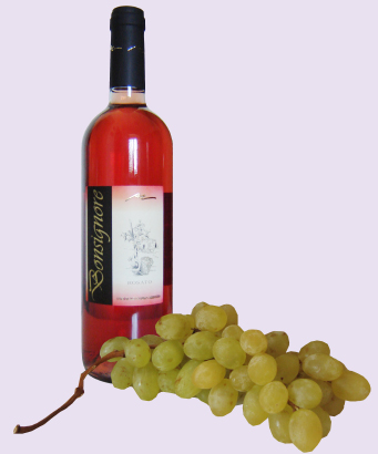 Made in Italy niche red wines for a vip market, wines from primitivo and negroamaro grapes to produce the most exclusive wine of the Italian producers to high class restaurants and vip distributors in United States, retail wineries in California, Middle East, Germany wineries, Dubai distribution market. Primitivo red wine for lovers for a vip tables and niche Negroamaro wines for vip world market