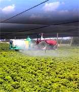Italian agriculture food manufacturing suppliers, Italy agriculture wholesale Italian vendors and beverage manufacturing companies to the USA agriculture distribution vendors and mall market industry.. Share your industrial agriculture products manufacturing with the worldwide distribution market... Italian agriculture manufacturing suppliers industry to the wholesale industrial agriculture distribution in Dubai, United States, Italy, Germany, England, Ireland, Japan, Taiwan, Saudi Arabia, UAE, Brazil, Argentina, Peru, Venezuela, Mexico, Uruguay, Bolivia... Italian Business Guide your agriculture manufacturing suppliers source...