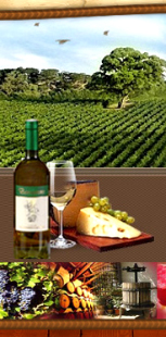 Made in Italy niche red wines for a vip market, wines from primitivo and negroamaro grapes to produce the most exclusive wine of the Italian producers to high class restaurants and vip distributors in United States, retail wineries in California, Middle East, Germany wineries, Dubai distribution market. Primitivo red wine for lovers for a vip tables and niche Negroamaro wines for vip world market
