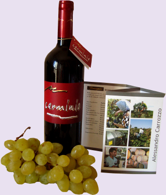 Made in Italy niche red wines for a vip market, wines from primitivo and negroamaro grapes to produce the most exclusive wine of the Italian producers to high class restaurants and vip distributors in United States, retail wineries in California, Middle East, Germany wineries, Dubai distribution market. Primitivo red wine for lovers for a vip tables and niche Negroamaro wines for vip world market