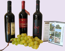 Exclusive IGT Carminio Rosso wines Made in Italy niche red wines for a vip market, wines from primitivo and negroamaro grapes to produce the most exclusive wine of the Italian producers to high class restaurants and vip distributors in United States, retail wineries in California, Middle East, Germany wineries, Dubai distribution market. Primitivo red wine for lovers for a vip tables and niche Negroamaro wines for vip world market